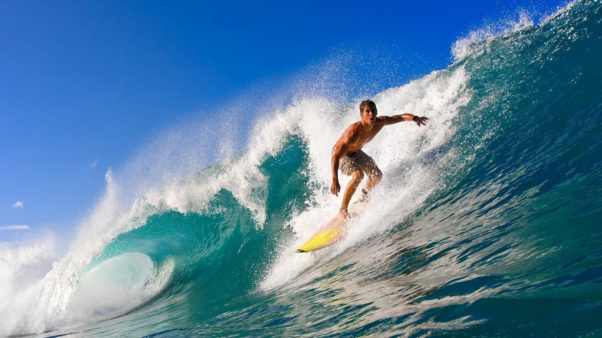 国际武术散打世界杯 中国选手11战全胜 金牌数遥遥领先